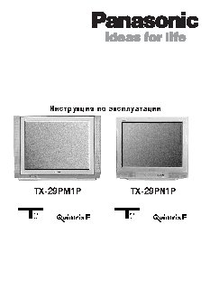 PANASONIC TX-29PM1P