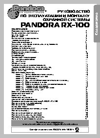 Pandora RX-100 (2006 г)