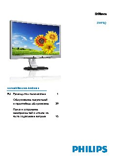 PHILIPS 241P4QPYES