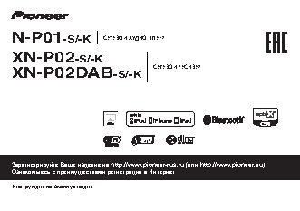 PIONEER N-P01