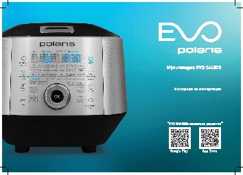 POLARIS EVO 0445DS