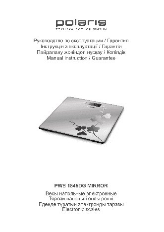 POLARIS PWS 1845DG Mirror