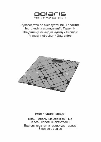 POLARIS PWS 1846DG Miror