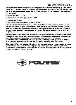 POLARIS Ranger 400 (2013)