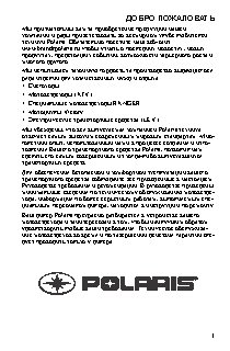 POLARIS RZR 570 (2013)