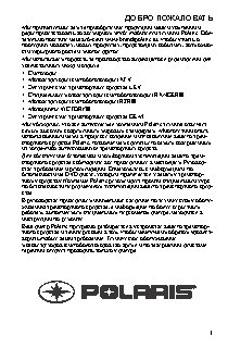 POLARIS RZR 570 (2015)