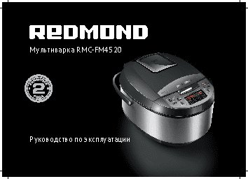 REDMOND MasterFry FM4520