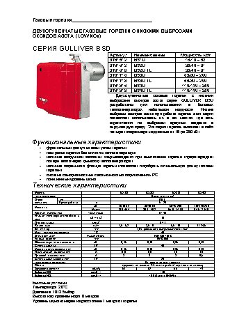 RIELLO GULLIVER BSD 2