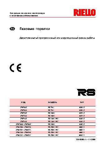 RIELLO RS E (MZ) 100 t.c.