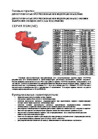 RIELLO RS M (MZ) 50 t.l.