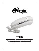 RITMIX RT-005
