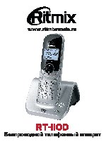 RITMIX RT-110D