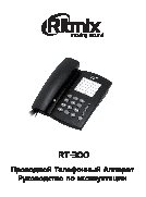 RITMIX RT-300