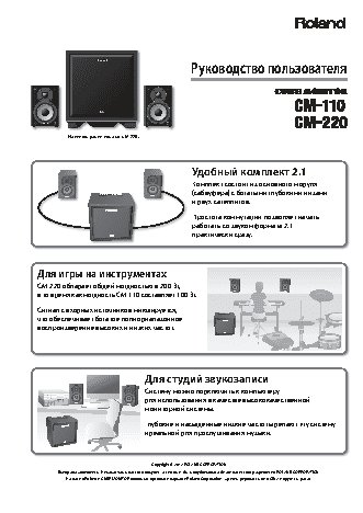 ROLAND CUBE-MONITOR-110
