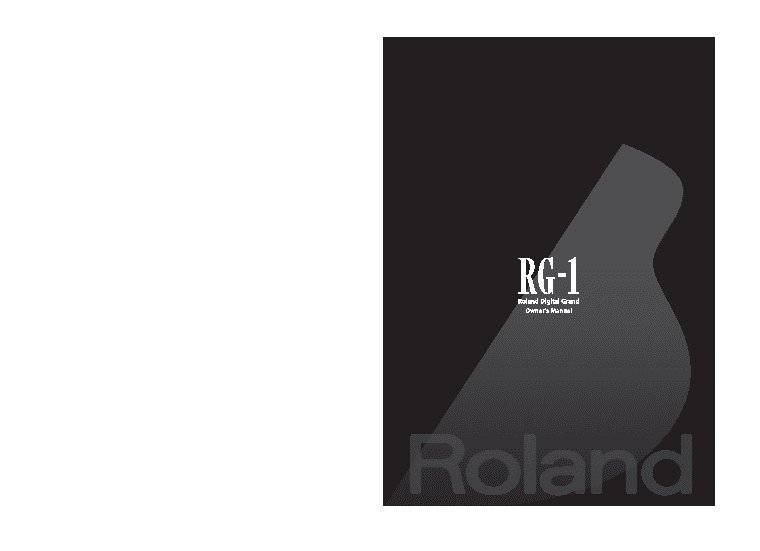 ROLAND RG-1-SB