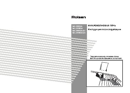 ROLSEN MG2080SA/SA