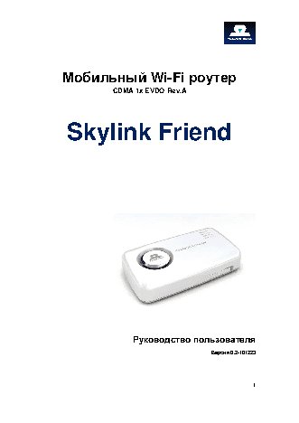 SKYLINK Friend