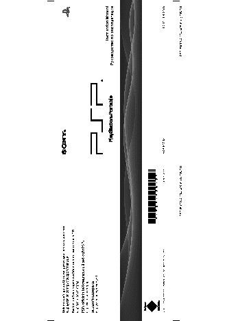 SONY PlayStation Portable E1008