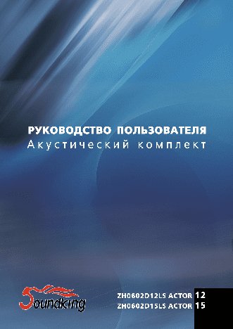 SOUNDKING ZH0602D15LS