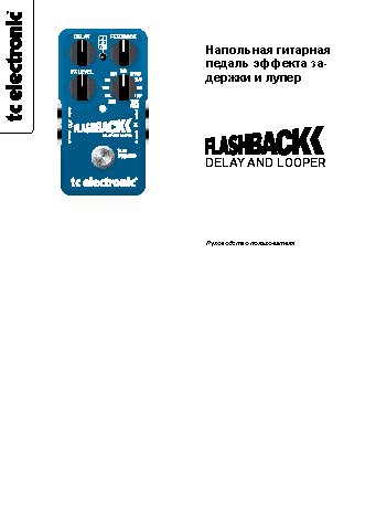 TC ELECTRONIC Flashback Delay & Looper TonePrint