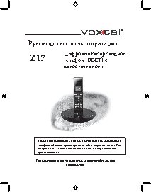VOXTEL Z17