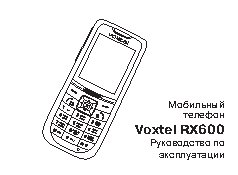 VOXTEL RX600
