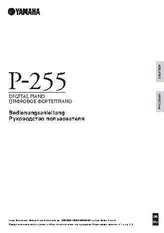 YAMAHA P-255B