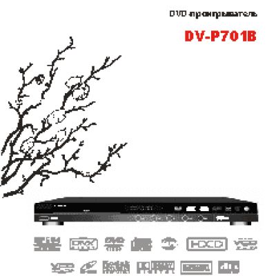 AKAI DV-P701B