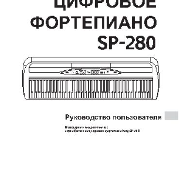 AKAI PROFESSIONAL DPS16