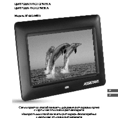 ASSISTANT AF-803-MIRA