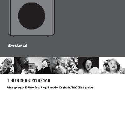 BEHRINGER THUNDERBIRD BX108