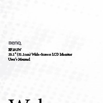 BENQ FP202W