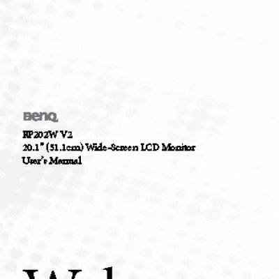 BENQ FP202W V2