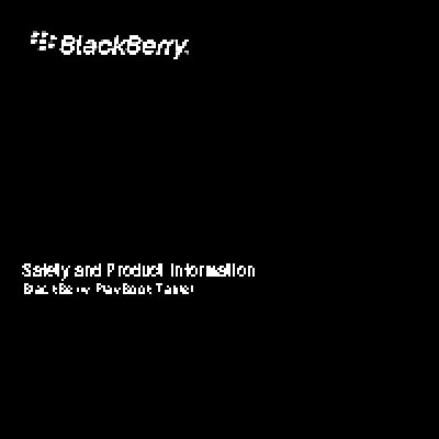 RIM BlackBerry PlayBook tablet