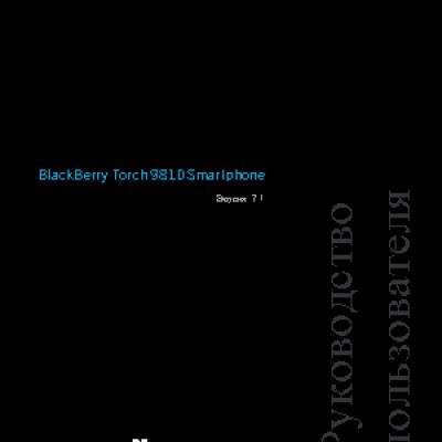 RIM BlackBerry Torch 9810