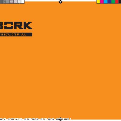 BORK AC SHR 3009 WT / AC SHR 3012 WT