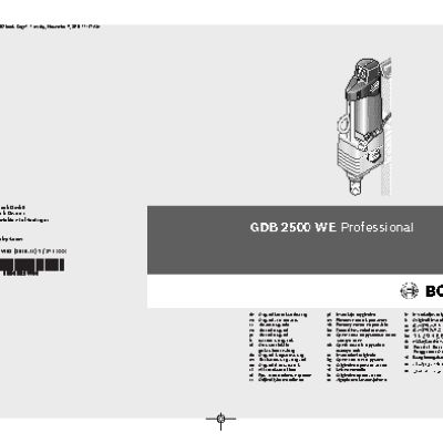 BOSCH GDB 2500 WE Professional