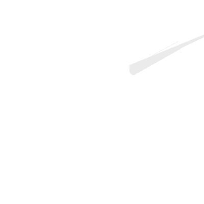 BOSCH GSA 36 V-LI Professional