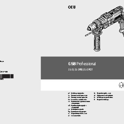 BOSCH GSB 21-2 RE Professional