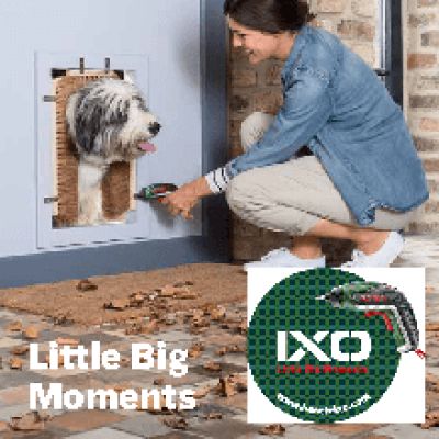 BOSCH IXO Full Комплект - эксцентриковая + угловая насадка