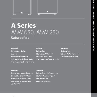 BOSTON Acoustics ASW250