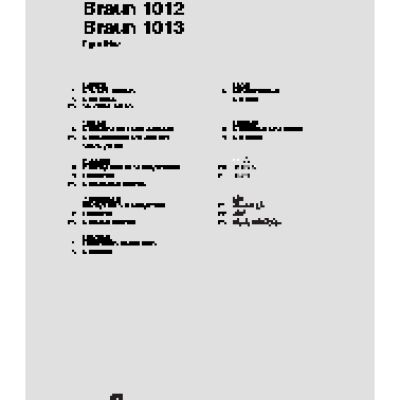 BRAUN 1013