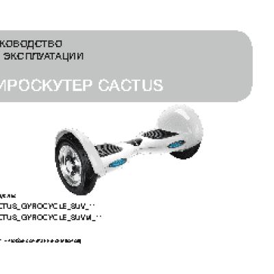 CACTUS SUV