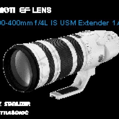 CANON EF 200-400mm f/4l IS USM Extender 1.4x