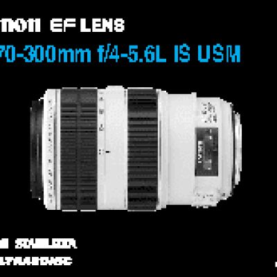 CANON EF 70-300mm f/4-5.6L IS USM
