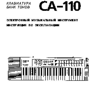 CASIO CA-110