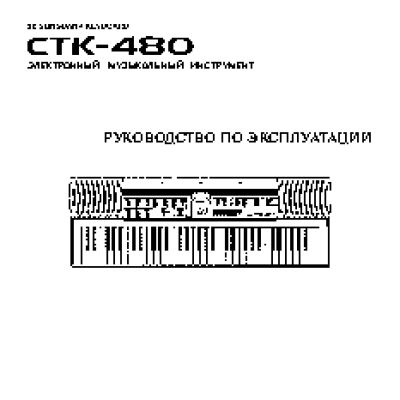 CASIO CTK-480