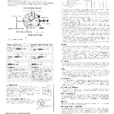 CASIO EDIFICE EFR-523PB-1A