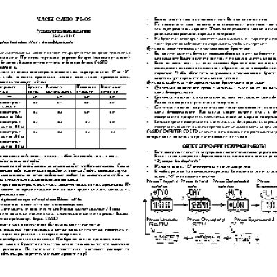CASIO по модулю 2217