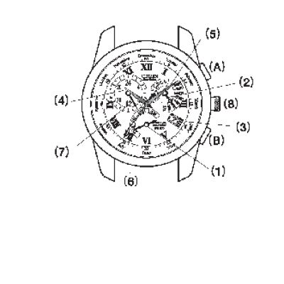 CITIZEN BL8001-01A / 51L